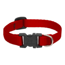 Lupine Pet Basic Solids Red Red Nylon Dog Adjustable Collar