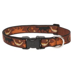 LupinePet Original Designs Multicolor Shadow Hunter Nylon Dog Adjustable Collar