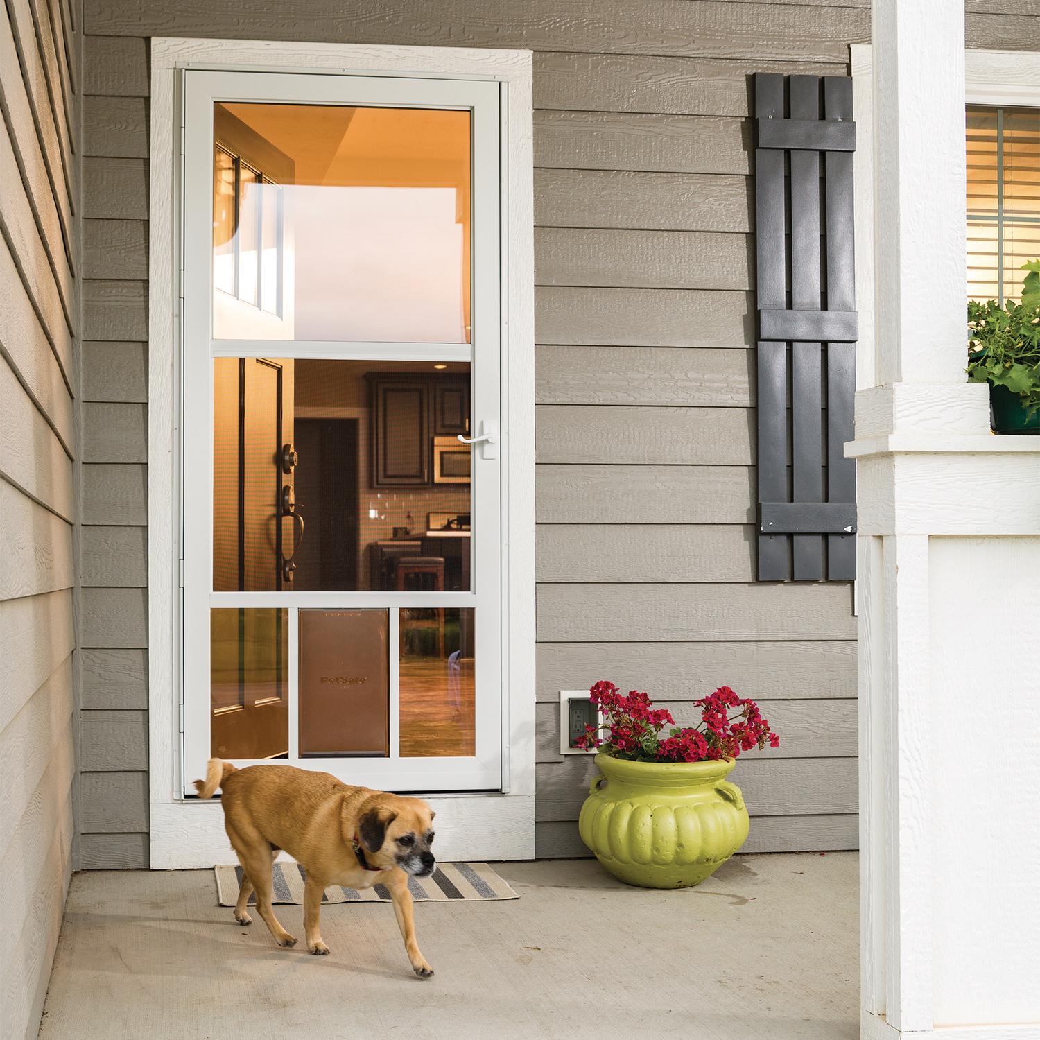 30 x 80 storm door fashion with pet door