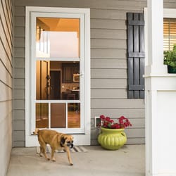 32x80 storm door with pet door best sale