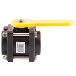 Pacer Camelot 2 in. Polypropylene FNPT Ball Valve Full Port Lever