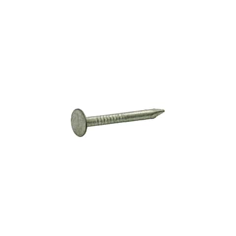 Ace 3 in. Roofing Galvanized Steel Nail Flat Head 1 lb