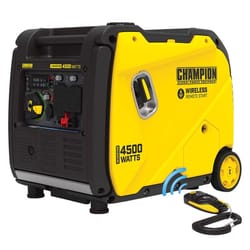 Champion 120 V Gas Generator