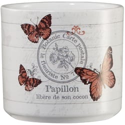 SK 2.7 in. H X 3.15 in. D Clay Vintage Animal Papillon Ceramic Pot Whitewash