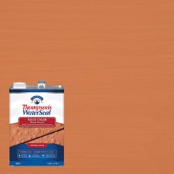 Thompson's WaterSeal Wood Sealer Solid Natural Cedar Waterproofing Wood Stain and Sealer 1 gal