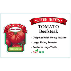 Chef Jeff Red Standard Beefsteak Tomato Vegetable Plant