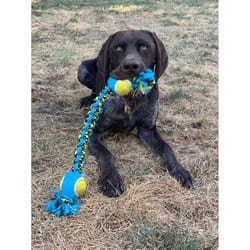 Boss Pet Pet Park Blvd Yellow Woven Paracord Rope with Tennis Ball Dog Toy 1 pk