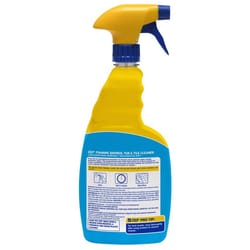 Santeen Chrome and Tile Cleaner No Scent Brick And Tile Cleaner 22 oz  Liquid - Ace Hardware