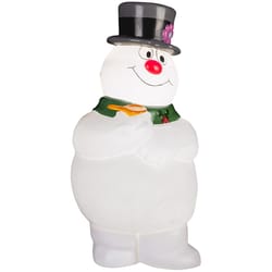 Warner Brothers Incandescent White Frosty With Scarf 2 ft. Blow Mold