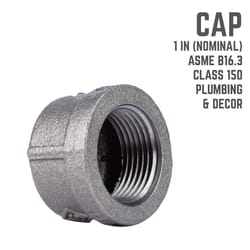 STZ Industries 1 in. FIP each Black Malleable Iron Cap