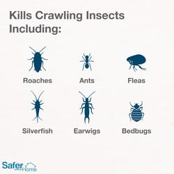 Safer Brand Insect Killer 7 oz
