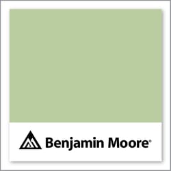 Benjamin Moore Corn Stalk 542