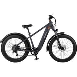 Retrospec Unisex Electric Bicycle Matte Black