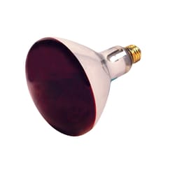 Satco 250 W R40 Heat Lamp Incandescent Bulb E26 (Medium) Red 1 pk