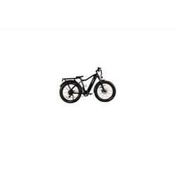 Evolt Unisex Electric Bicycle Black