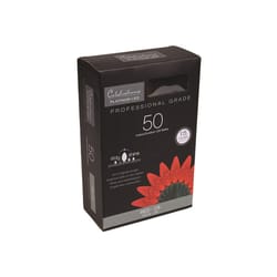 Celebrations Platinum LED C6 Red 50 ct String Christmas Lights 25 ft.