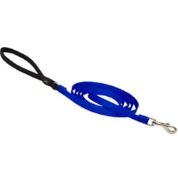 Lupine Pet Basic Solids Blue Blue Nylon Dog Leash