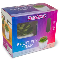 ZendoZones Fruit Fly Trap 1 box