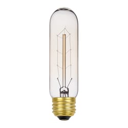 Globe Electric 60 W T10 Vintage Incandescent Bulb E26 (Medium) Amber 1 pk