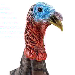 Primos Multicolored Foam Jake Turkey Decoy 19.50 in.