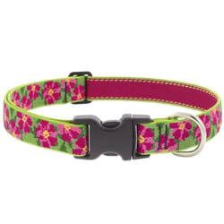 LupinePet Original Multicolored Petunias Nylon Dog Adjustable Collar