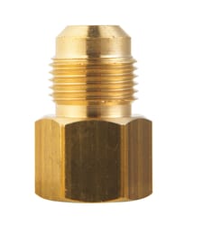 JMF Company 1/2 in. Flare X 1/2 in. D Female Brass Adapter