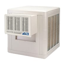 Cheap swamp best sale coolers for sale