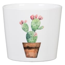 Scheurich Garden 4.25 in. D Ceramic Cactus Flower Pot Multicolored