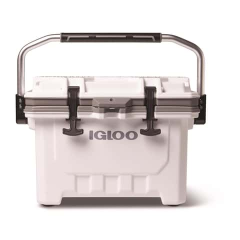 Igloo cooler ace sales hardware