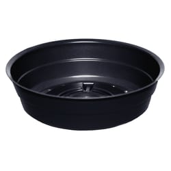 Curtis Wagner Plastics 1.12 in. H X 4 in. W X 4 in. D X 4 in. D Plastic Plant Saucer Black