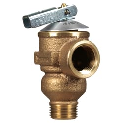 Cash Acme 1/2 in. Bronze Pressure Relief Valve