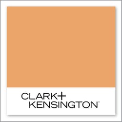 Clark+Kensington Orange You Happy KIDCC-04