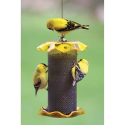Birds Choice Finch 1 qt Acrylic/Stainless Steel Tube Mesh Bird Feeder