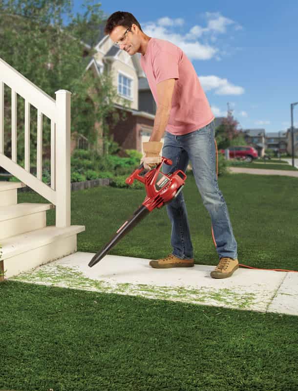 Craftsman Leaf Blower Ace Hardware