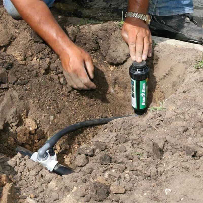 Rain Bird EZ 50 ft. L Swing Pipe Ace Hardware