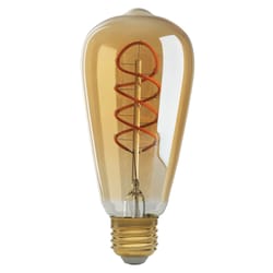 Satco ST19 E26 (Medium) LED Bulb Amber 25 Watt Equivalence 1 pk