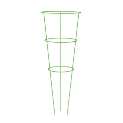 Panacea Vibrant 42 in. H X 16 in. W Assorted Steel Tomato Cage