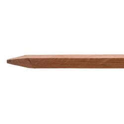 Bond 4 ft. H X 3/4 in. W Brown Wood Garden Stakes