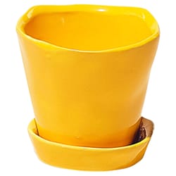 Chive Tika 3 in. D Ceramic Succulent Pot Meadowlark Yellow