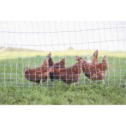 Starkline 42 in. H X 164 ft. L Metal/Polyethylene Electric Netting Blue