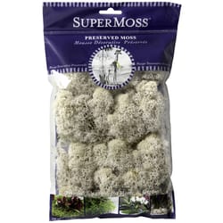 SuperMoss Natural Reindeer Moss 80.75 cu in