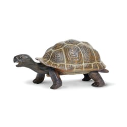 Safari Ltd. Incredible Creatures Tortoise Baby Toy Brown