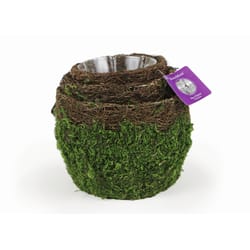 SuperMoss Deco Wire Vineyard Planter Set Green