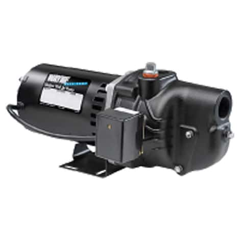 Wayne 3/4 HP 750 gph Cast Iron Shallow Jet Well Pump - Ace Hardware