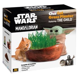 Chia Pet Star Wars Decorative Planter Terracotta Clay 1 pk