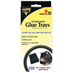 Bonide Revenge Non-Toxic Bait Tray Glue Pad For Mice and Rats 2 pk