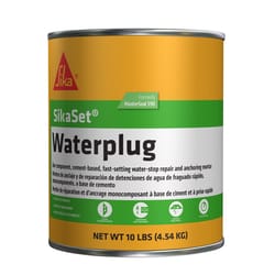 Master Builders MasterSeal 590 Hydraulic Cement 10 lb Gray
