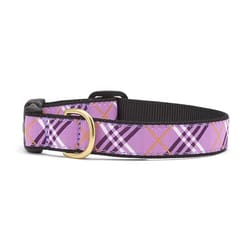 Up Country Lavender Lattice Nylon Dog Collar Medium