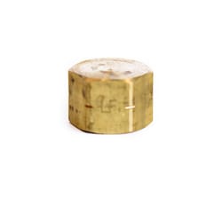 ATC 5/16 in. Compression Brass Cap