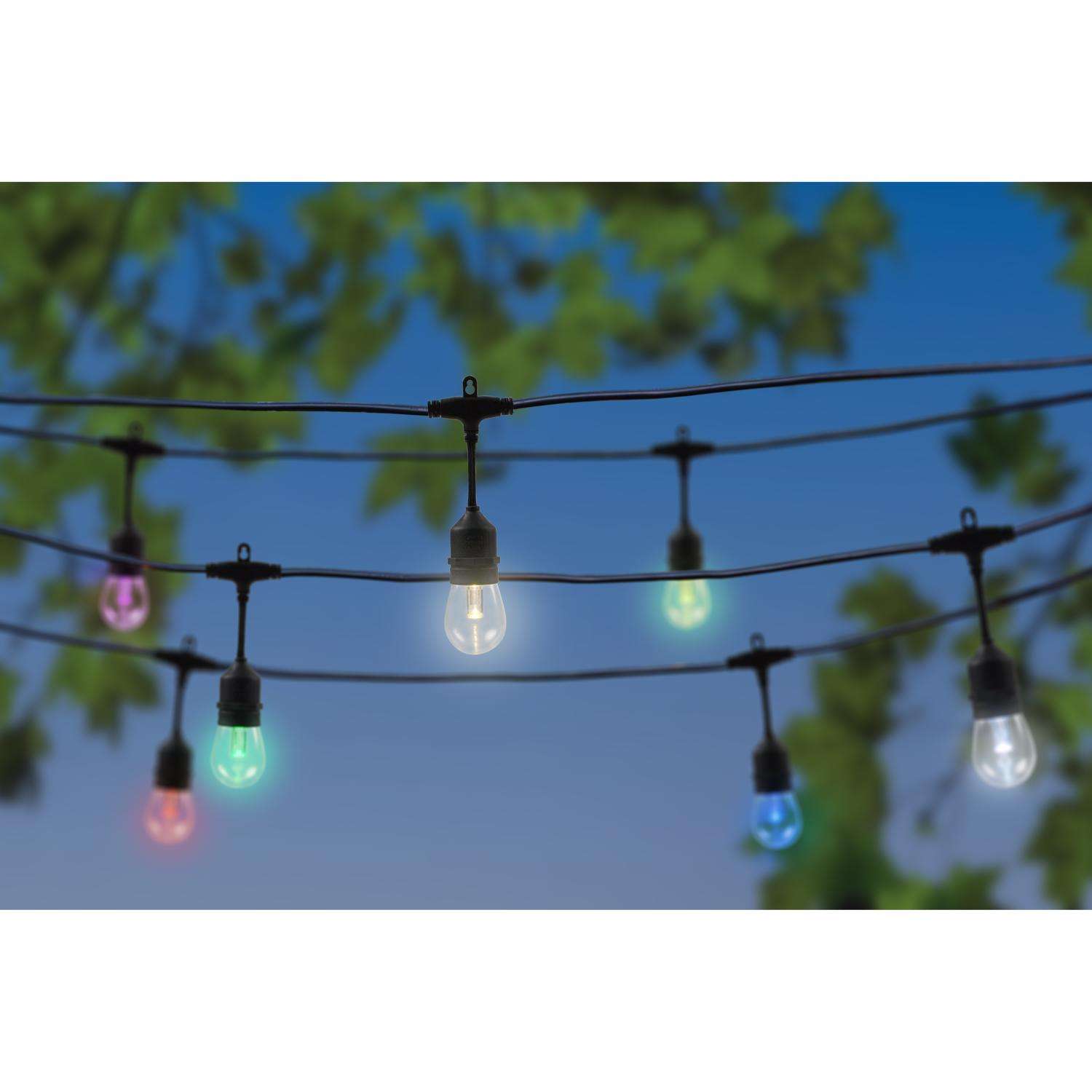 Living Accents LED Vintage S14 Color Changing Light Set Multicolored 20 ft.  10 lights - Ace Hardware